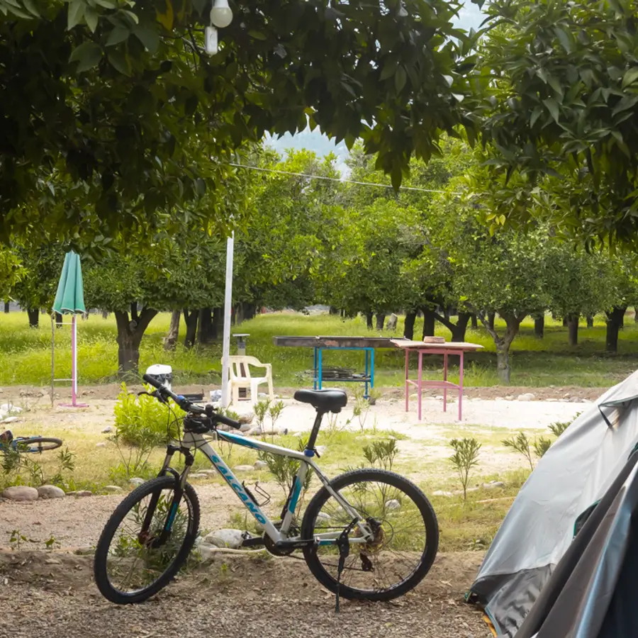 Mandalina Camping kamp alani genel gorunum