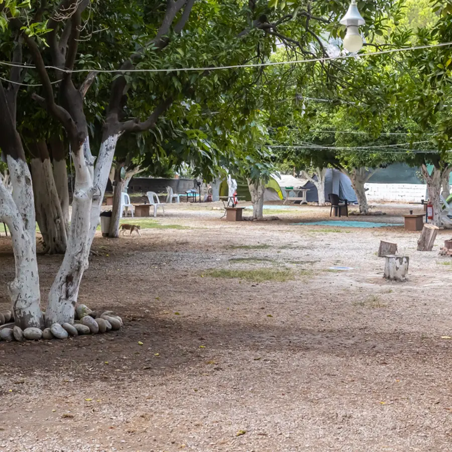 Mandalina Camping Beldibi fotograf