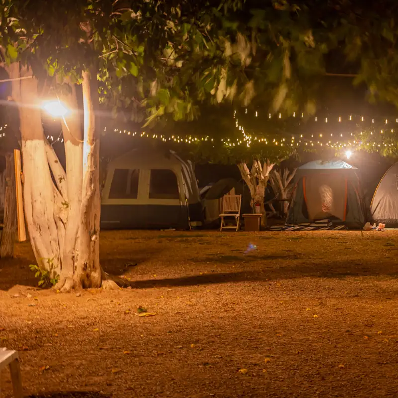 Mandalina Camping Beldibi gece kamp alanı 11