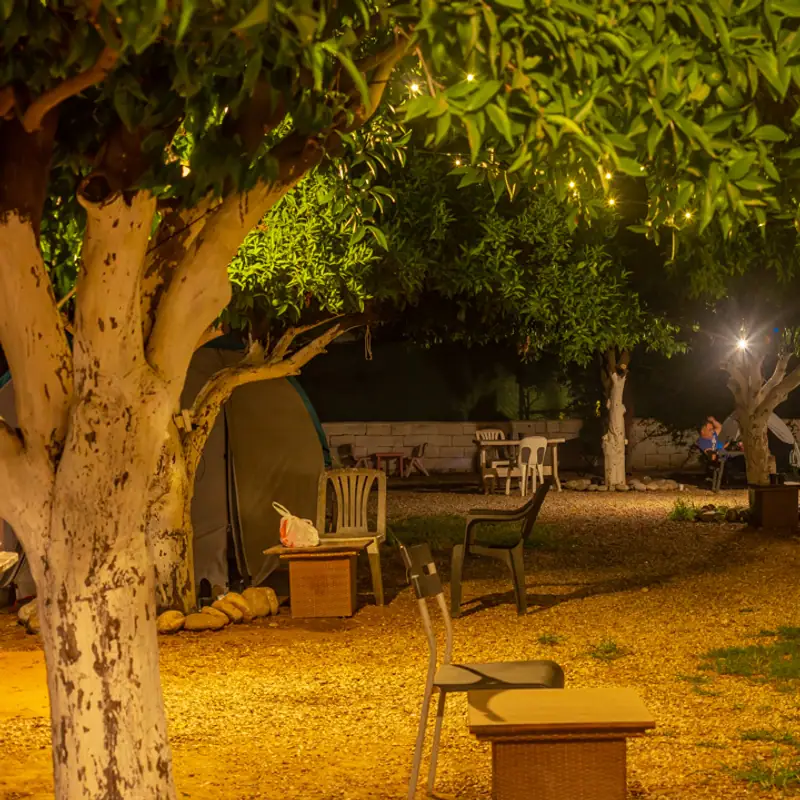 Mandalina Camping Beldibi gece kamp alanı 15